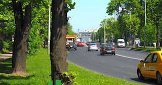 Посадка деревьев и кустарников в Мирном — стоимость от 1213 руб.